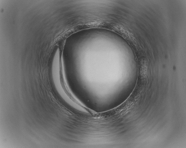 X0000069380689200606021607