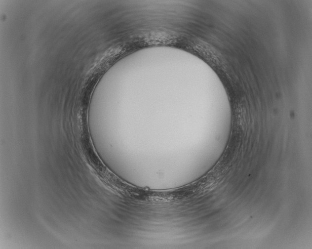 X0000069380690200606021607