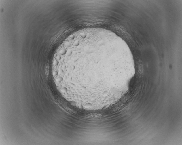 X0000069380691200606021607