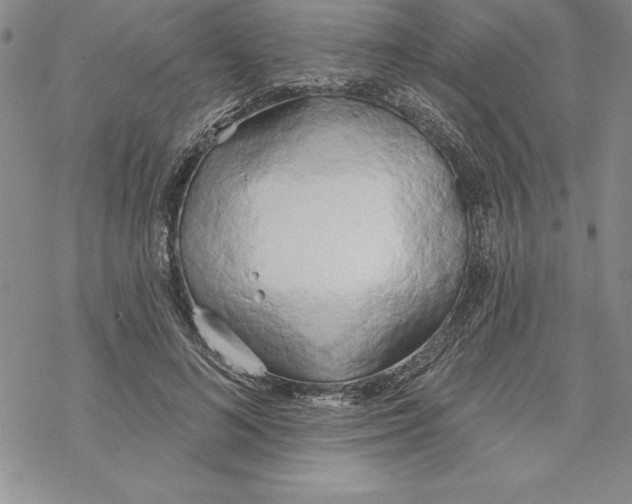 X0000069380692200606021607