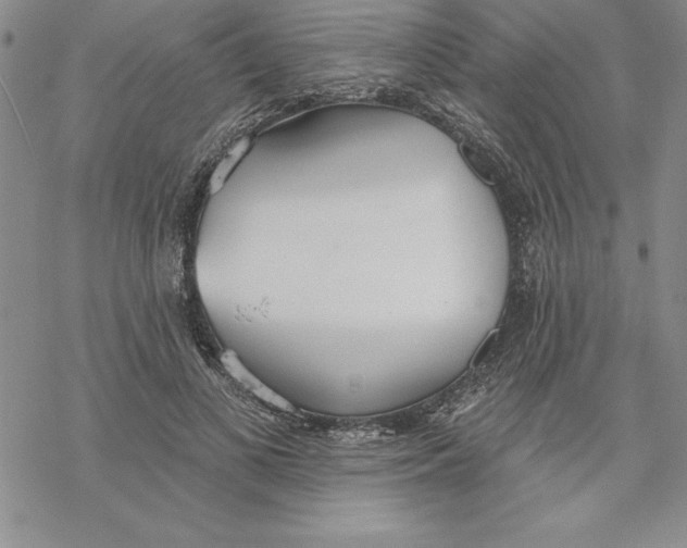 X0000069380693200606021607