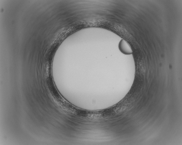 X0000069380694200606021607