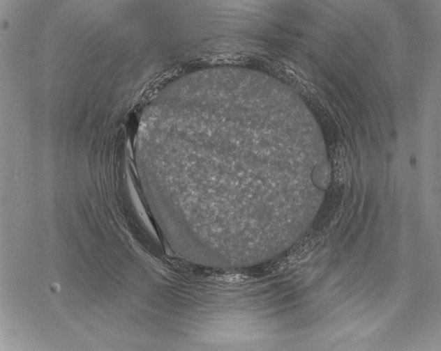 X0000069380695200606021607