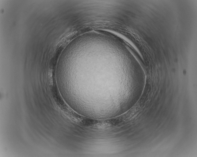 X0000069380696200606021607