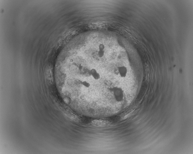 X0000069380699200606021607