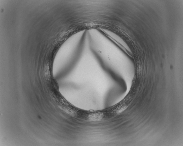 X0000069380700200606021607