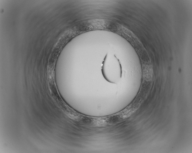 X0000069380701200606021607