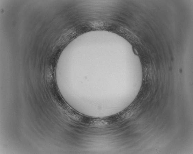 X0000069380702200606021607