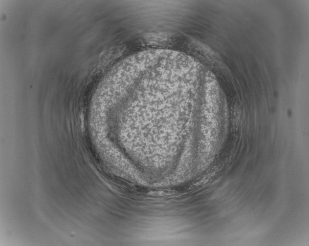 X0000069380703200606021607