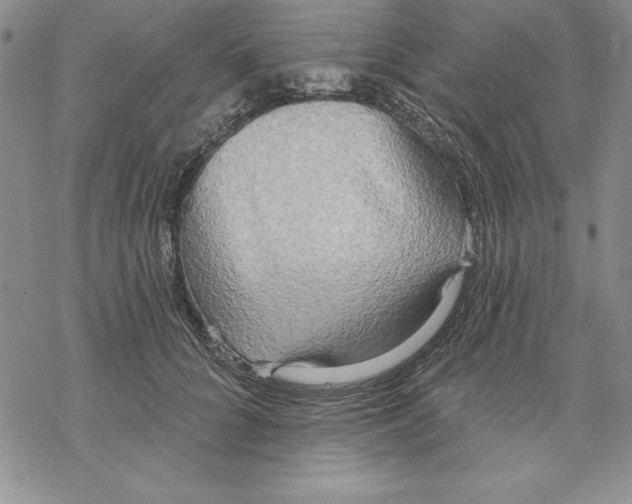 X0000069380704200606021607