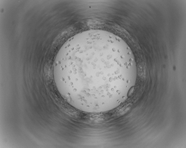 X0000069380705200606021607