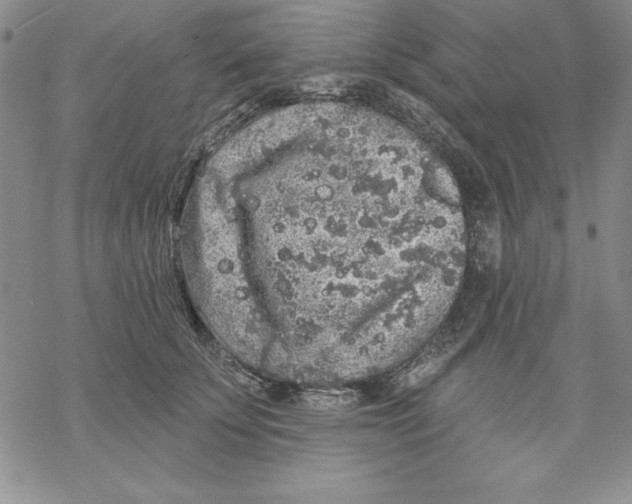 X0000069380707200606021607