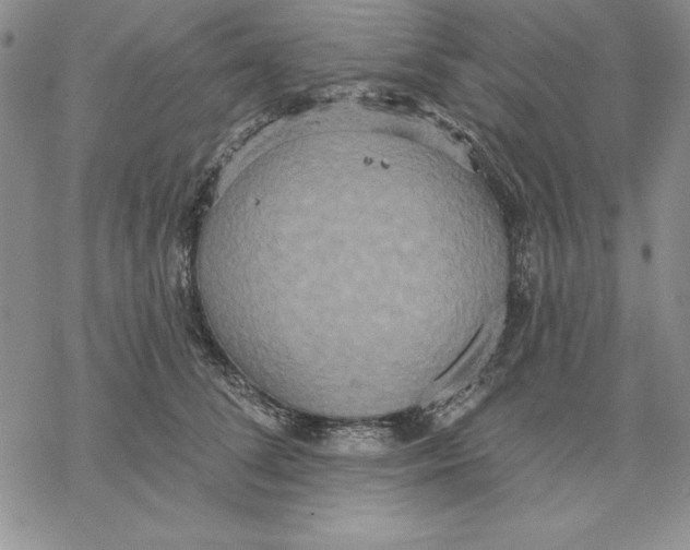 X0000069380708200606021607