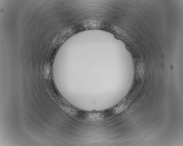 X0000069380709200606021607