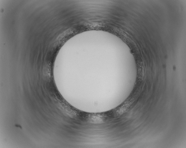 X0000069380710200606021607