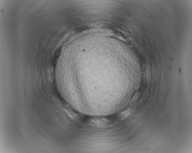 X0000069380712200606021607