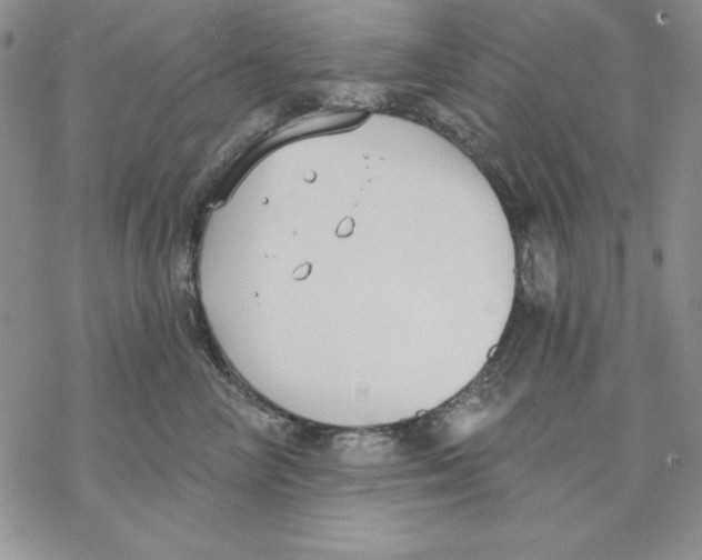 X0000069380714200606021607