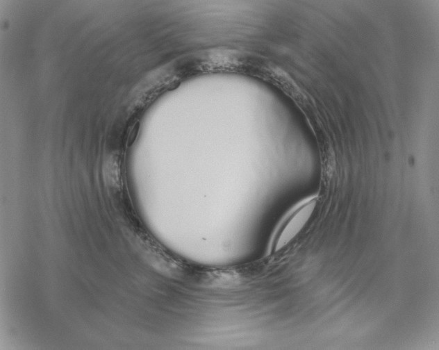 X0000069380715200606021607