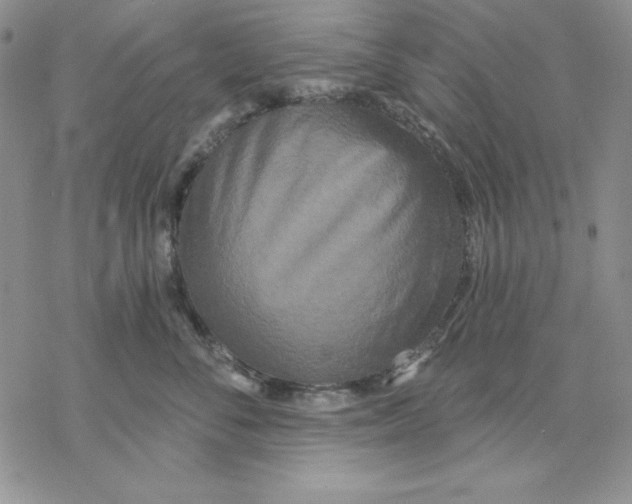 X0000069380716200606021607