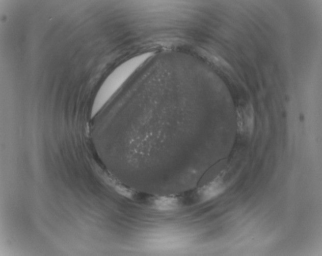 X0000069380718200606021607