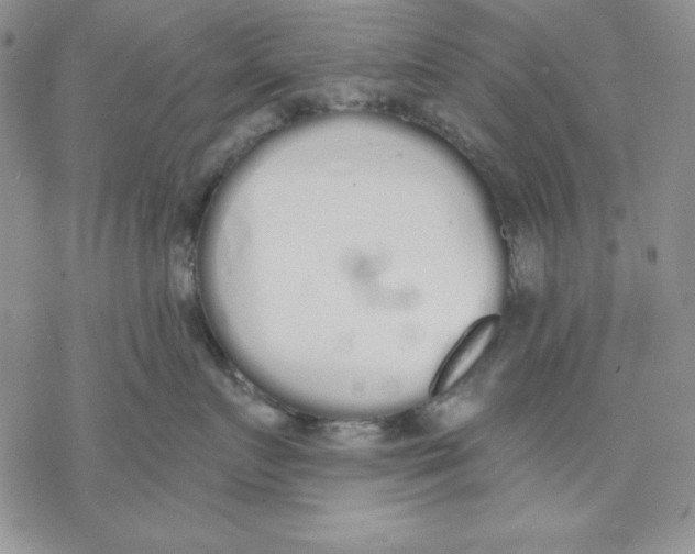 X0000069380719200606021607