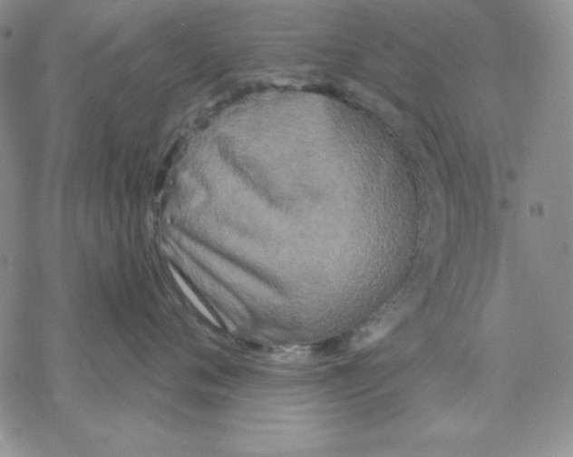 X0000069380720200606021607