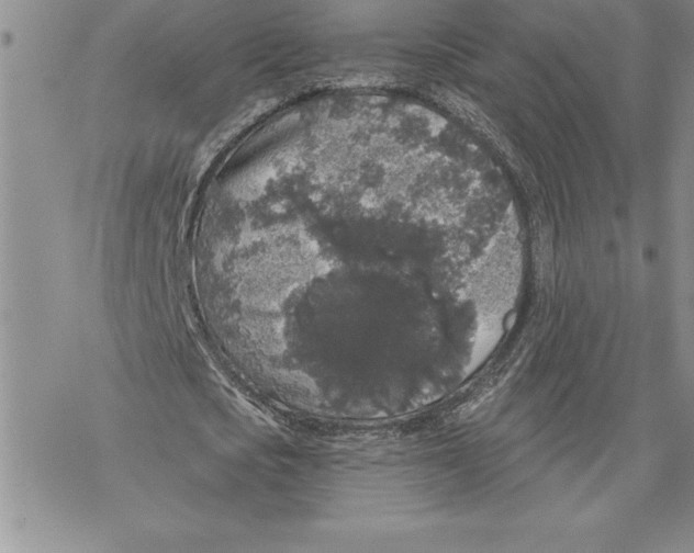 X0000069380721200606021606