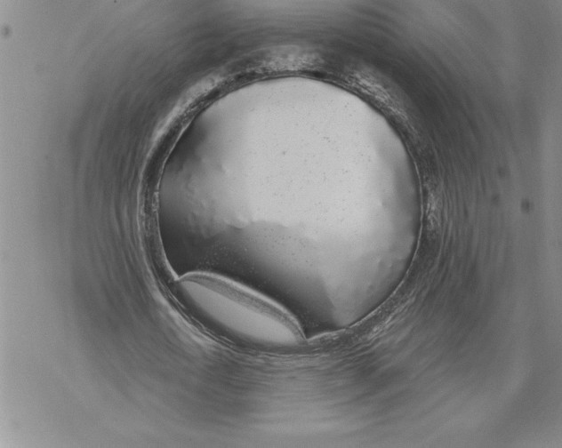 X0000069380722200606021606