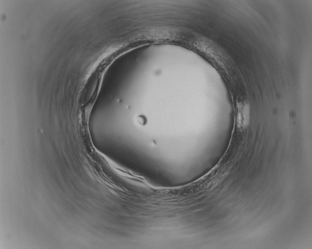 X0000069380723200606021606