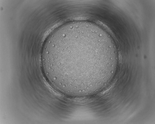 X0000069380725200606021606