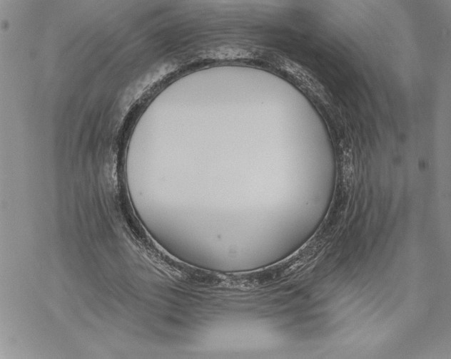 X0000069380727200606021606