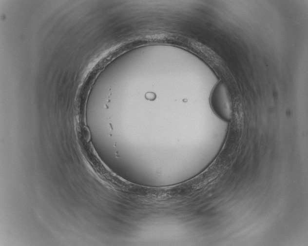 X0000069380728200606021606