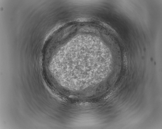 X0000069380730200606021606