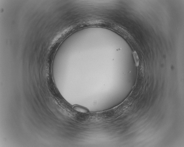 X0000069380732200606021606