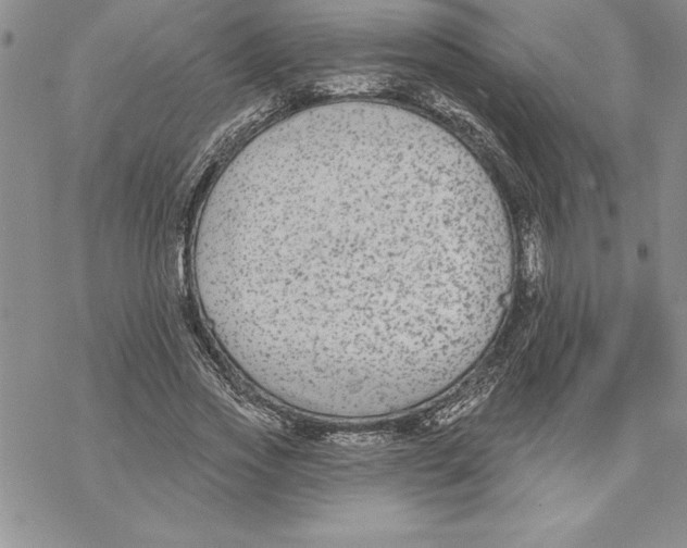 X0000069380733200606021606