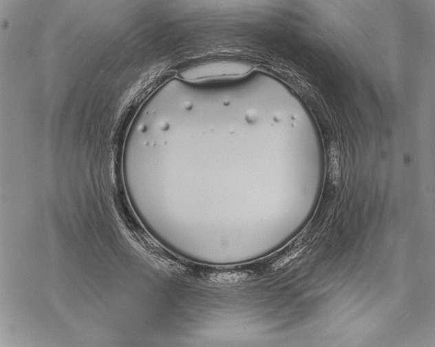 X0000069380734200606021606