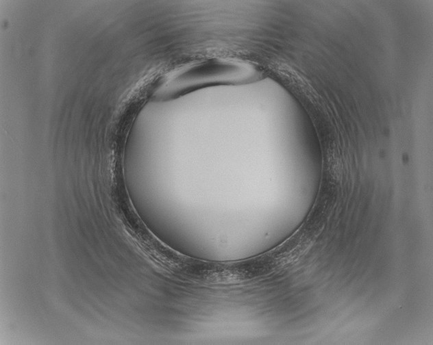 X0000069380735200606021606