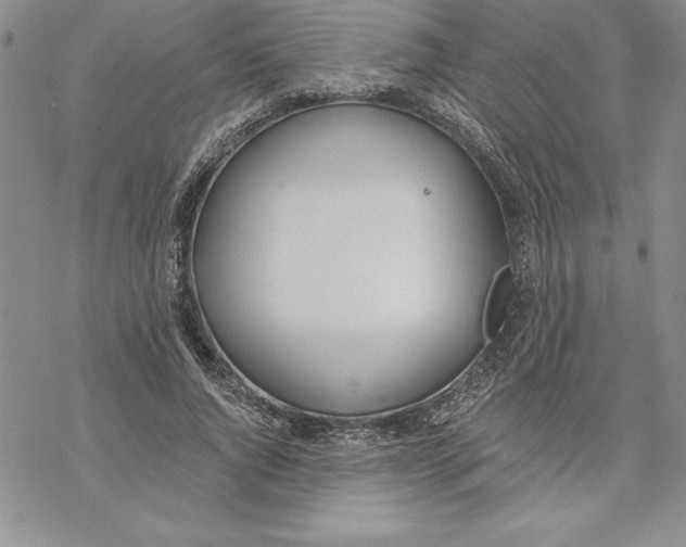 X0000069380736200606021606