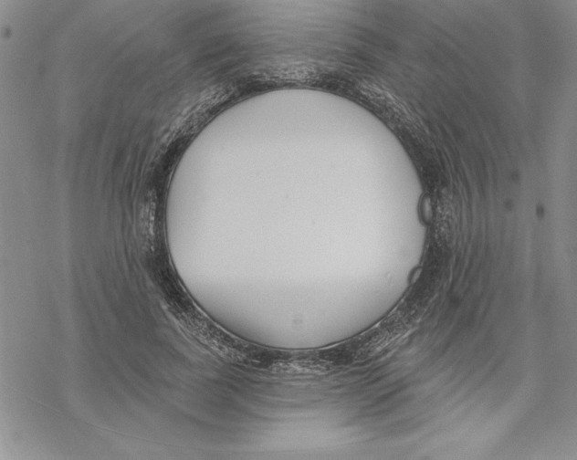 X0000069380739200606021606