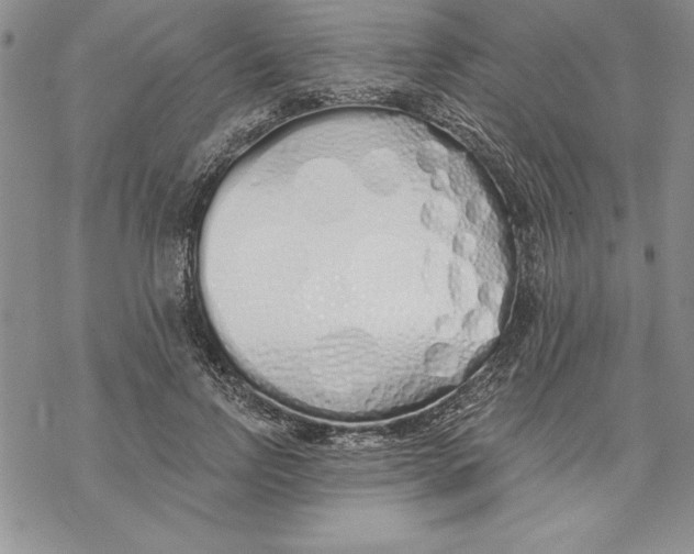 X0000069380742200606021606