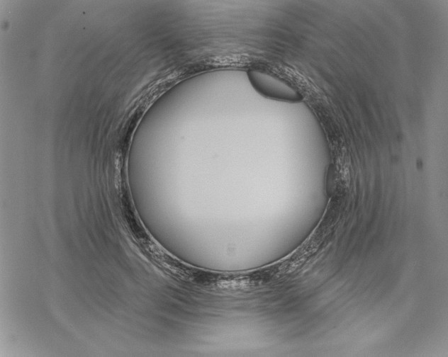 X0000069380744200606021606