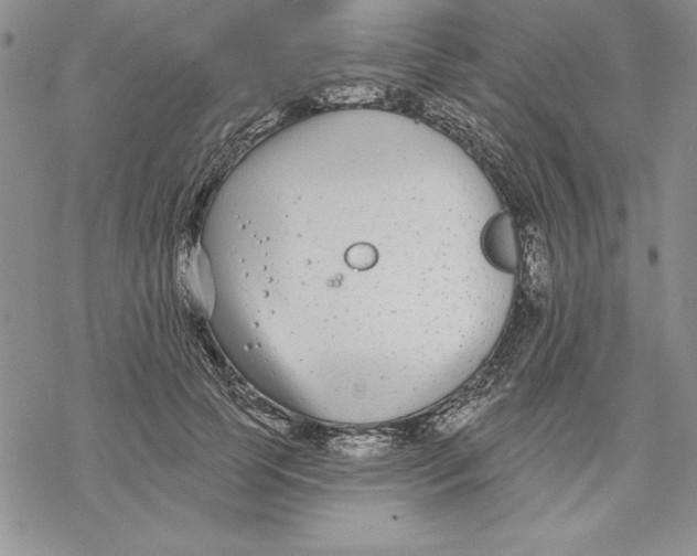 X0000069380745200606021606