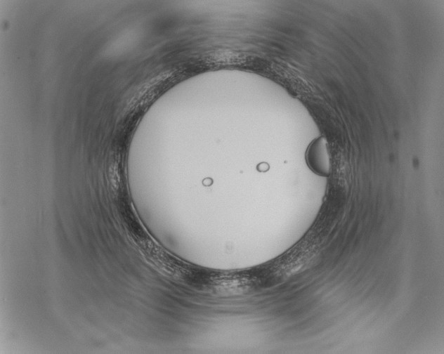 X0000069380746200606021606