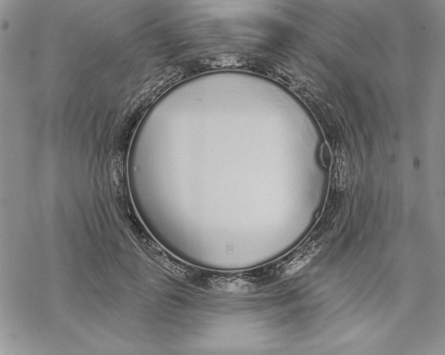 X0000069380747200606021606