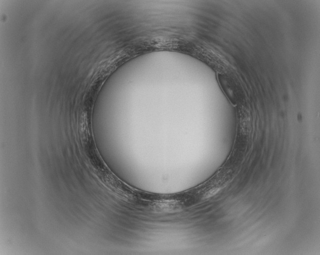 X0000069380748200606021606