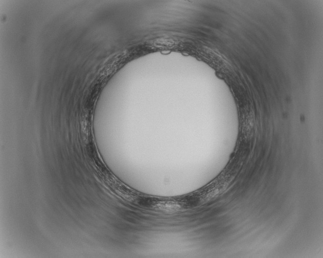 X0000069380749200606021606