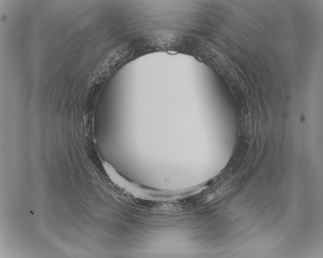 X0000069380750200606021606