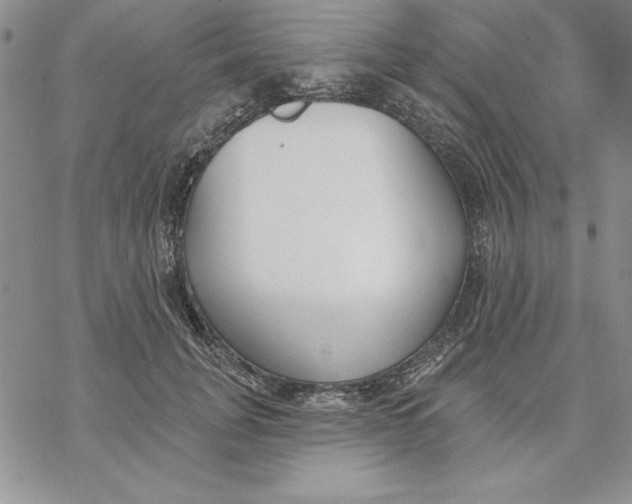 X0000069380751200606021606