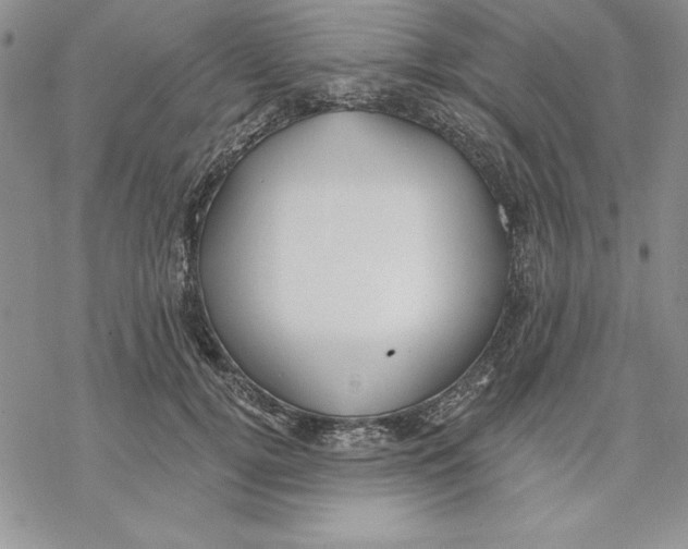 X0000069380752200606021606