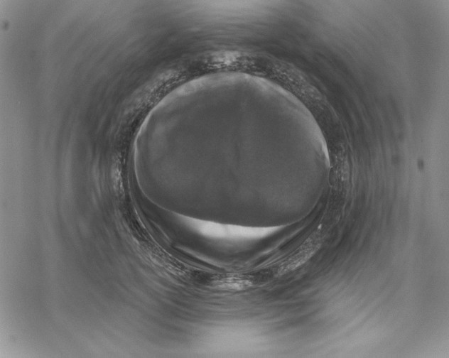 X0000069380754200606021606